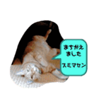 ふうちゃんの巻 Part1（個別スタンプ：11）