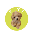 ぼく、ポテチくん。（個別スタンプ：4）