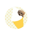 ぼく、ポテチくん。（個別スタンプ：9）