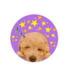 ぼく、ポテチくん。（個別スタンプ：10）