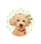 ぼく、ポテチくん。（個別スタンプ：15）