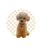 ぼく、ポテチくん。（個別スタンプ：17）