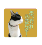 ビビ＆カカ4（個別スタンプ：5）