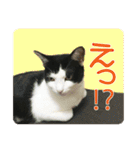ビビ＆カカ4（個別スタンプ：6）