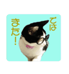 ビビ＆カカ4（個別スタンプ：9）