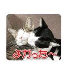 ビビ＆カカ4（個別スタンプ：15）