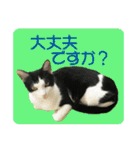 ビビ＆カカ4（個別スタンプ：21）