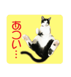ビビ＆カカ4（個別スタンプ：22）