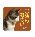 ビビ＆カカ4（個別スタンプ：25）