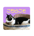 ビビ＆カカ4（個別スタンプ：26）