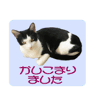 ビビ＆カカ4（個別スタンプ：28）