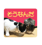 ビビ＆カカ4（個別スタンプ：32）