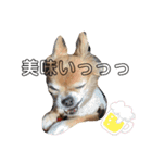 小林きなこちゃん（個別スタンプ：1）