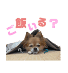 小林きなこちゃん（個別スタンプ：13）