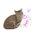 えらそうな猫様（個別スタンプ：2）