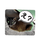 ぶーたんと、さちくんの日常（個別スタンプ：2）