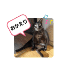 ぶーたんと、さちくんの日常（個別スタンプ：6）