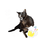 ぶーたんと、さちくんの日常（個別スタンプ：9）