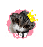 ぶーたんと、さちくんの日常（個別スタンプ：11）