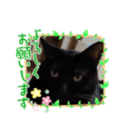 ぶーたんと、さちくんの日常（個別スタンプ：14）