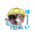 ぶーたんと、さちくんの日常（個別スタンプ：16）