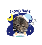 うちの天使！ちぃにゃん！（個別スタンプ：4）
