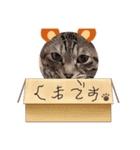 うちの天使！ちぃにゃん！（個別スタンプ：6）