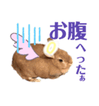うさぎスタンプ！＋‪α‬（個別スタンプ：6）