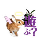 うさぎスタンプ！＋‪α‬（個別スタンプ：9）