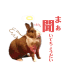 うさぎスタンプ！＋‪α‬（個別スタンプ：21）