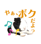 うさぎスタンプ！＋‪α‬（個別スタンプ：25）