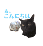 うさぎスタンプ！＋‪α‬（個別スタンプ：26）
