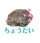 うさぎスタンプ！＋‪α‬（個別スタンプ：28）