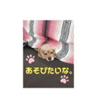 タックルの愉快なスタンプ（個別スタンプ：9）