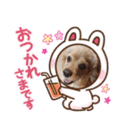 タックルの愉快なスタンプ（個別スタンプ：22）