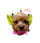 くるくるみんと（個別スタンプ：5）