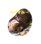 くるくるみんと（個別スタンプ：8）