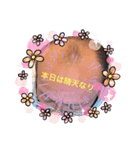 たまねぎ団員（個別スタンプ：1）