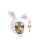 虎太郎くんのスタンプ（個別スタンプ：6）