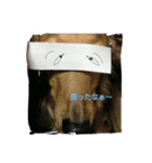 一休シリーズ（個別スタンプ：6）
