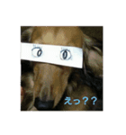 一休シリーズ（個別スタンプ：8）