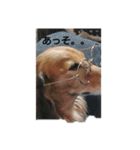 一休シリーズ（個別スタンプ：14）