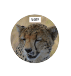 The circle of life（個別スタンプ：2）