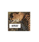 The circle of life（個別スタンプ：5）