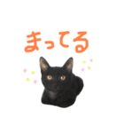 クロネコのやまちゃん（個別スタンプ：2）