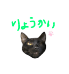 クロネコのやまちゃん（個別スタンプ：3）