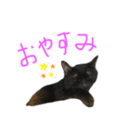 クロネコのやまちゃん（個別スタンプ：7）