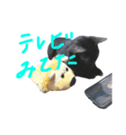 クロネコのやまちゃん（個別スタンプ：17）