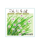 ミチコばあば NO17  夏の花 B（個別スタンプ：1）