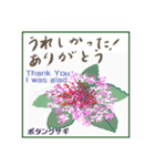 ミチコばあば NO17  夏の花 B（個別スタンプ：6）